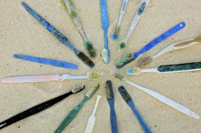 Framed Print : North America, Northwestern Hawaiian Islands, Midway Atoll. Marine debris toothbrushes
