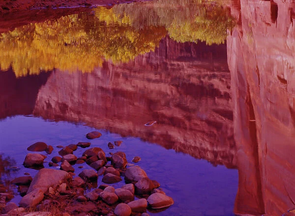 North America, U. S. A. Arizona, Canyon de Chelly National Monument, Navajo Res