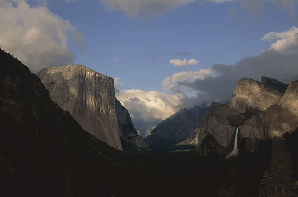 North America, U. S. A. California, Yosemite National Park, Yosemite Valley, Clearing