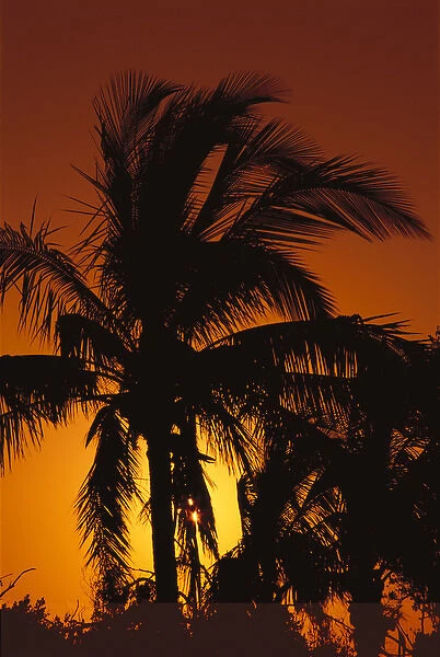 North America, U. S. A. Florida, Biscayne National Park, Tropical sun sets behind