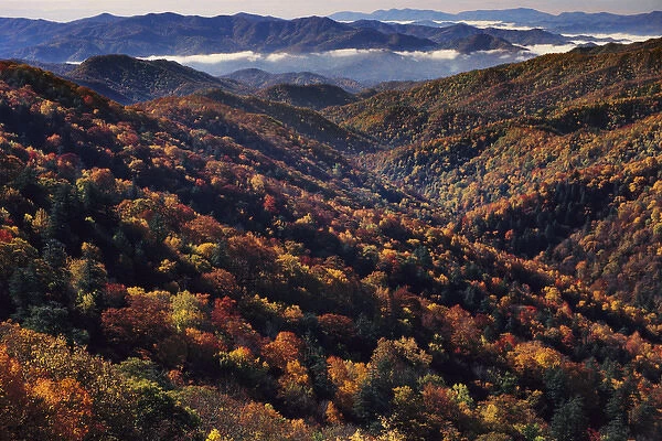 North America, U. S. A. North Carolina, Great Smoky Mountains National Park, Striations