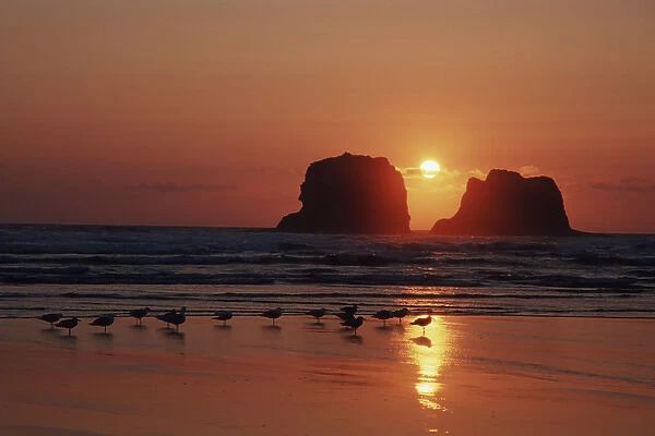 North America, U. S. A. Oregon Sunset and twin rocks along the Oregon coast