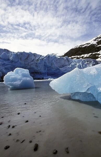 North America, United States, Alaska, Glacier Bay. Melting glacier, blue ice