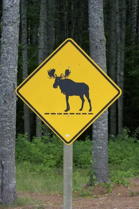 Framed Print : North America, United States, Maine. A sign among the trees in the Moosehead Lake Framed Print : North America, United States, Maine. A sign among the trees in the Moosehead Lake