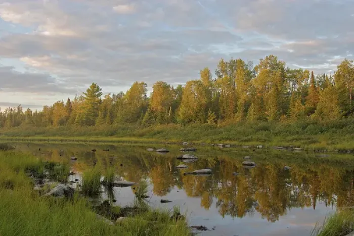 Framed Print : North America, United States, Maine, Kokadjo. Trees reflected in a pond in the Moosehead