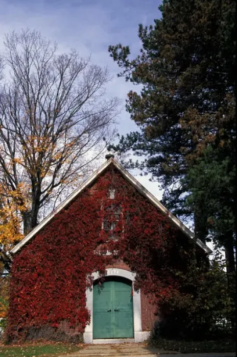 Framed Print : North America, United States, Massachusetts, Boston. Ivy covered building