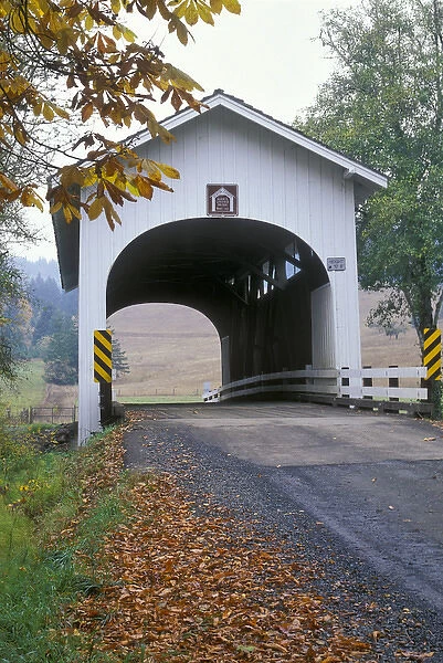 North America, United States, Oregon. Harris covered bridge over Marys River in the fall