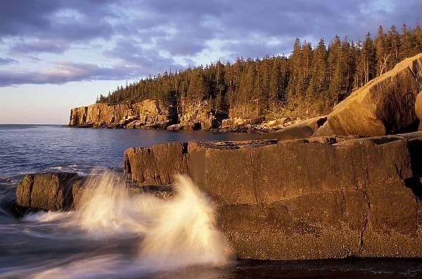 North America, US, ME, The rocky Maine coast