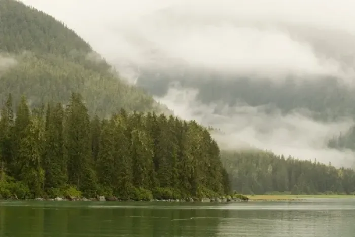 Framed Print : North America, USA, AK, Inside Passage