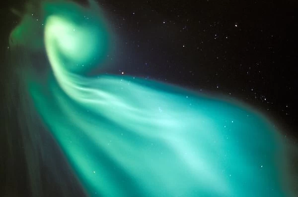 North America, USA, Alaska, Arctic Coastal Plain. Curtains of green aurora fill the