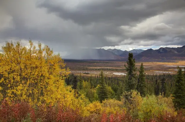 Framed Print : North America; USA; Alaska; Autumn Color along the Glennallen Highway Framed Print : North America; USA; Alaska; Autumn Color along the Glennallen Highway