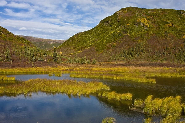 North America, USA, Alaska, Denali National Park, Wonder Lake Area