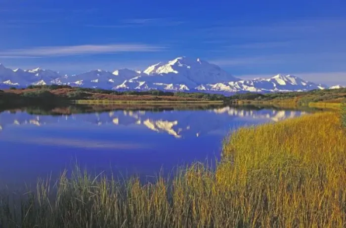 Framed Print : North America, USA, Alaska, Denali NP, Reflection Pond, Mt. McKinley. Autumn Framed Print : North America, USA, Alaska, Denali NP, Reflection Pond, Mt. McKinley. Autumn