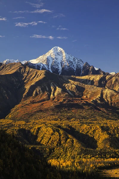 North America; USA; Alaska; On the Glennallen Hwy; Mountains and Autumn Color