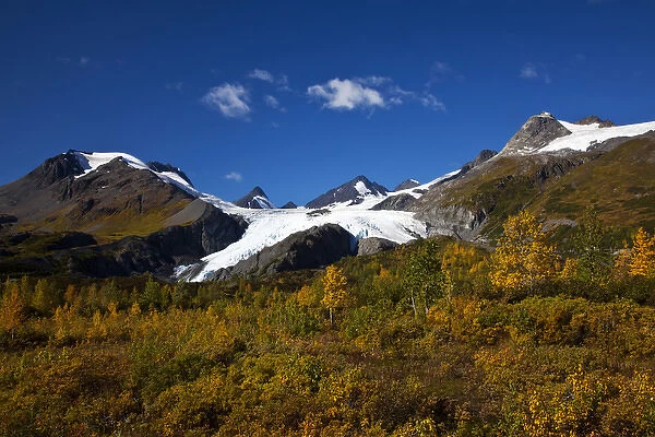 North America; USA; Alaska; Ice Flows of the Worthington Glacier