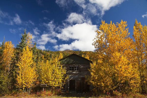 North America; USA; Alaska; Kantishna; Old Kantishna RoadHouse with Autumn Color