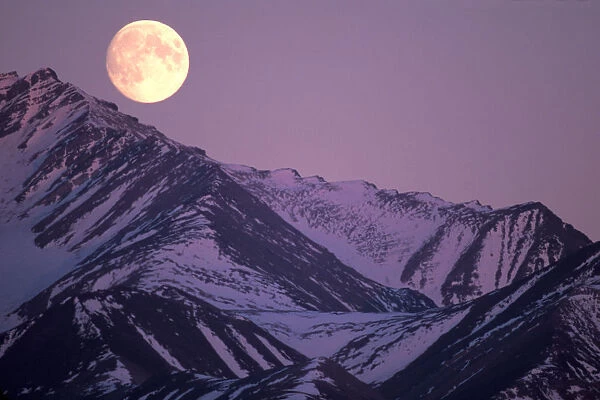 North America, USA, Alaska. Full moon over Gates of the Arctic National Park, Brooks range