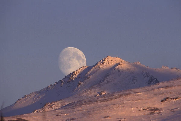 North America, USA, Alaska, near Anchorage, Chugach range, moon rise
