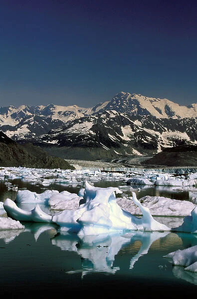 North America, USA, Alaska, Prince William Sound, Columbia Bay. Icebergs fill Columbia