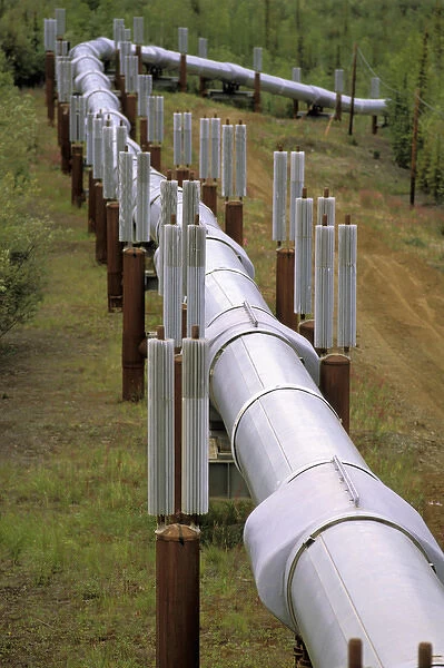 North America, USA, Alaska. Trans-Alaskan Pipeline