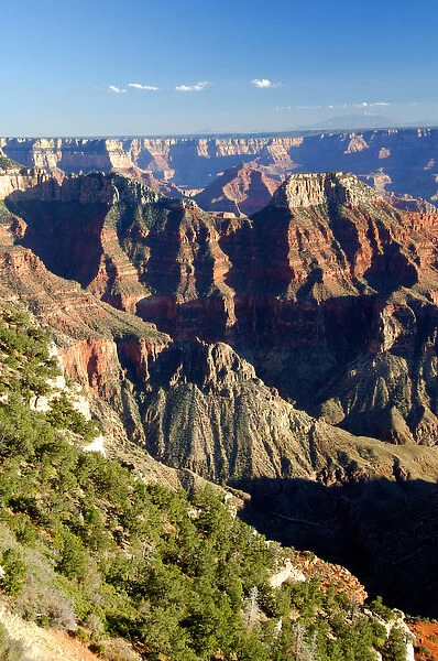 North America, USA, Arizona, Grand Canyon National Park, North Rim. Canyon view with