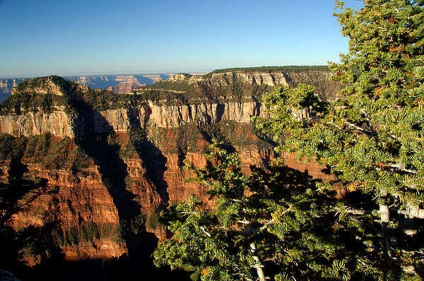 North America, USA, Arizona, Grand Canyon National Park, North Rim