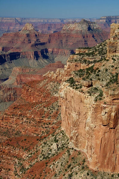 North America, USA, Arizona, Grand Canyon National Park, North Rim. Cape Royal Overlook