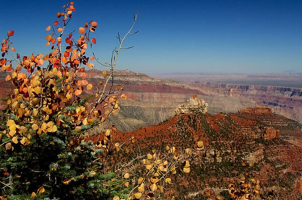 North America, USA, Arizona, Grand Canyon National Park, North Rim. Vista Encantada