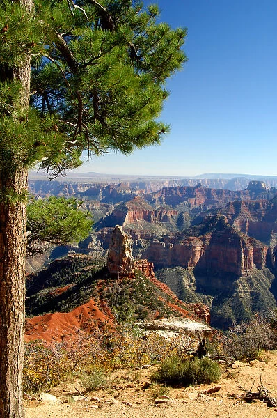 North America, USA, Arizona, Grand Canyon National Park, North Rim. Point Imperial