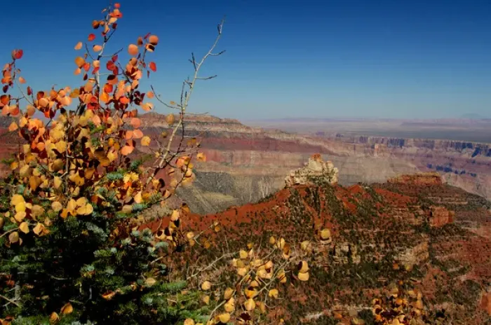 Framed Print : North America, USA, Arizona, Grand Canyon National Park, North Rim. Vista Encantada