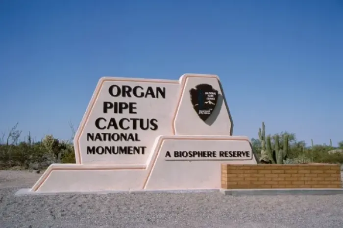 Framed Print : North America, USA, Arizona. Organ Pipe Cactus National Monument Framed Print : North America, USA, Arizona. Organ Pipe Cactus National Monument