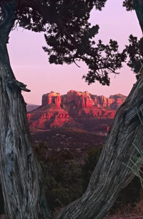 Framed Print : North America, USA, Arizona, Sedona. Cathedral Rock at sunset Framed Print : North America, USA, Arizona, Sedona. Cathedral Rock at sunset