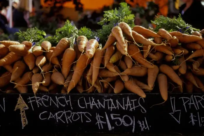 Framed Print : North America, USA, CA, San Francisco, ferry building farmers market, carrots Framed Print : North America, USA, CA, San Francisco, ferry building farmers market, carrots