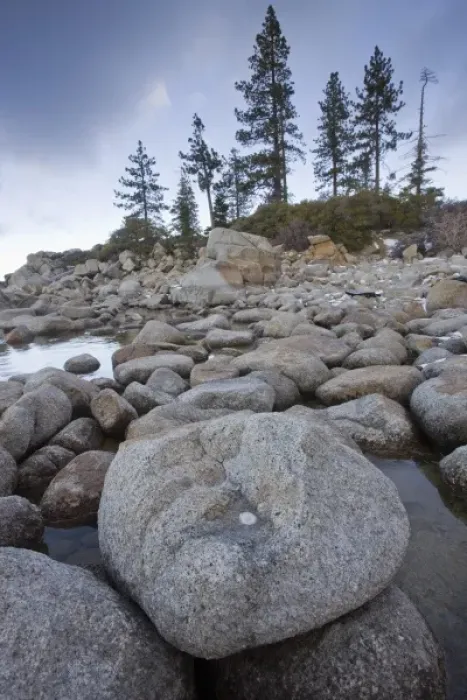 Framed Print : North America, USA, California, Lake Tahoe. Boulders and trees on the lakeshore Framed Print : North America, USA, California, Lake Tahoe. Boulders and trees on the lakeshore