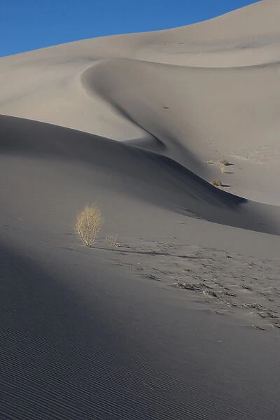 North America, USA, California, Death Valley National Park. Sunset shadow on dunes