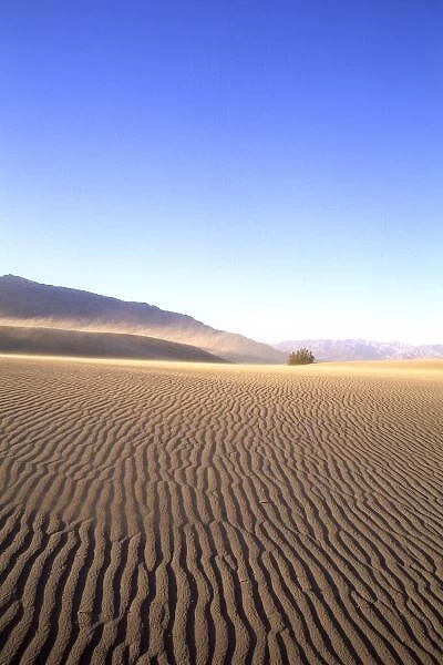 North America, USA, California. Death Valley, sand dunes with ripples