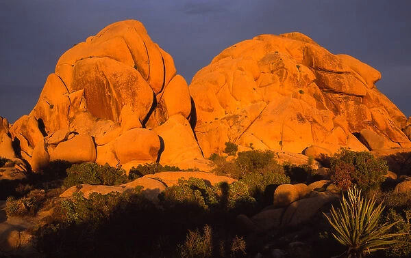 North America, USA, California, Joshua Tree National Park, Granite Monolith at Sunet