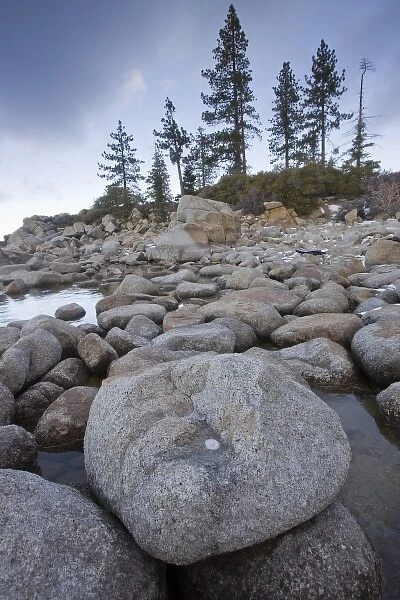 North America, USA, California, Lake Tahoe. Boulders and trees on the lakeshore