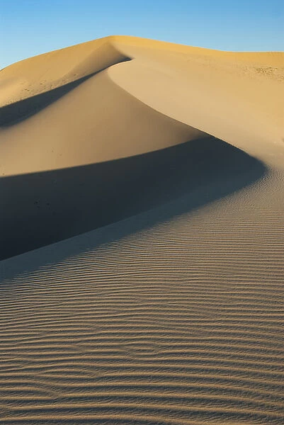 North America, USA, California. Sand dunes in Mojave Trails National Monument, CA