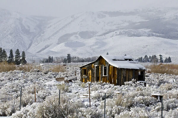 North America, USA, California, Snowy Sierra Nevada Mountains, Mono Basin Abandoned