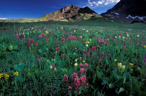 North America, USA, Colorado, American Lakes Wilderness. Landscape