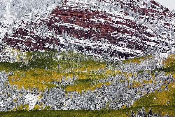 North America, USA, Colorado, First Snow over the Red Cliffs and Aspens of Redstone