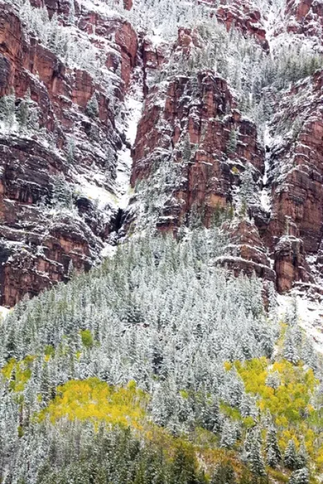 Framed Print : North America, USA, Colorado, First Snow over the Red Cliffs and Aspens of Redstone Framed Print : North America, USA, Colorado, First Snow over the Red Cliffs and Aspens of Redstone