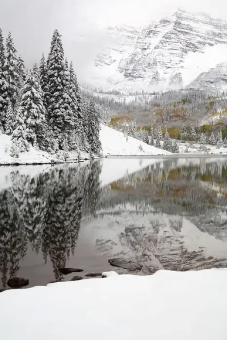 Framed Print : North America, USA, Colorado, Maroon Bells, Snow Covered Aspens and Firs With Reflections Framed Print : North America, USA, Colorado, Maroon Bells, Snow Covered Aspens and Firs With Reflections