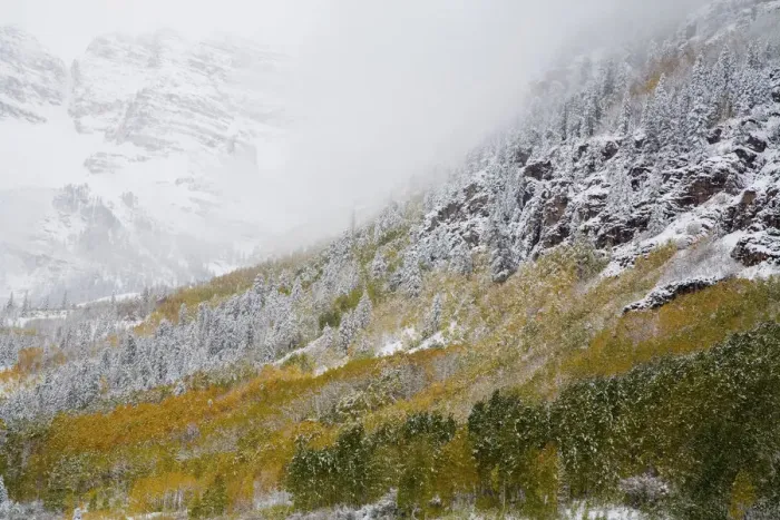 Framed Print : North America, USA, Colorado, Maroon Bells, Snow Covered Aspens and Firs Framed Print : North America, USA, Colorado, Maroon Bells, Snow Covered Aspens and Firs
