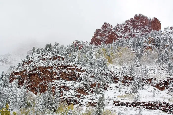 Framed Print : North America, USA, Colorado, Maroon Bells, Snow Covered Aspens and Firs Framed Print : North America, USA, Colorado, Maroon Bells, Snow Covered Aspens and Firs