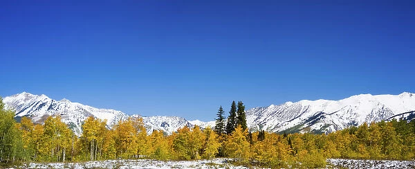 North America, USA, Colorado, Panorama of Mountains and Autumn Aspens in Kebler Pass