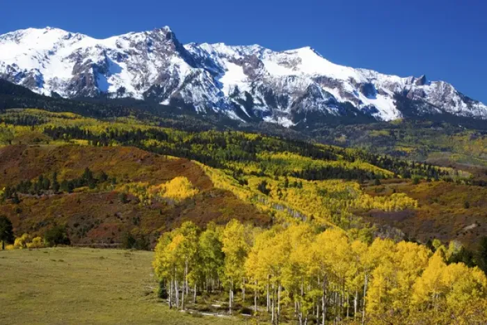 Framed Print : North America, USA, Colorado, Sneffells Range with Autumn Aspens and Snow capped Mountains