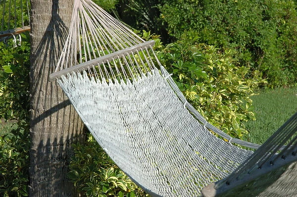 North America, USA, Florida, Edgewater, hammock in backyard