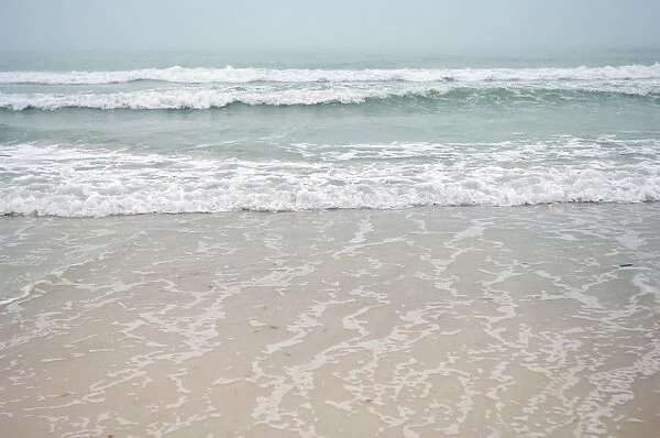 North America, USA, Florida, Sarasota, Crescent Beach, Siesta Key, foggy with breaking surf